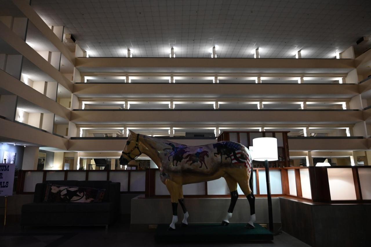 Atrium And Dfw Airport Hotel Irving