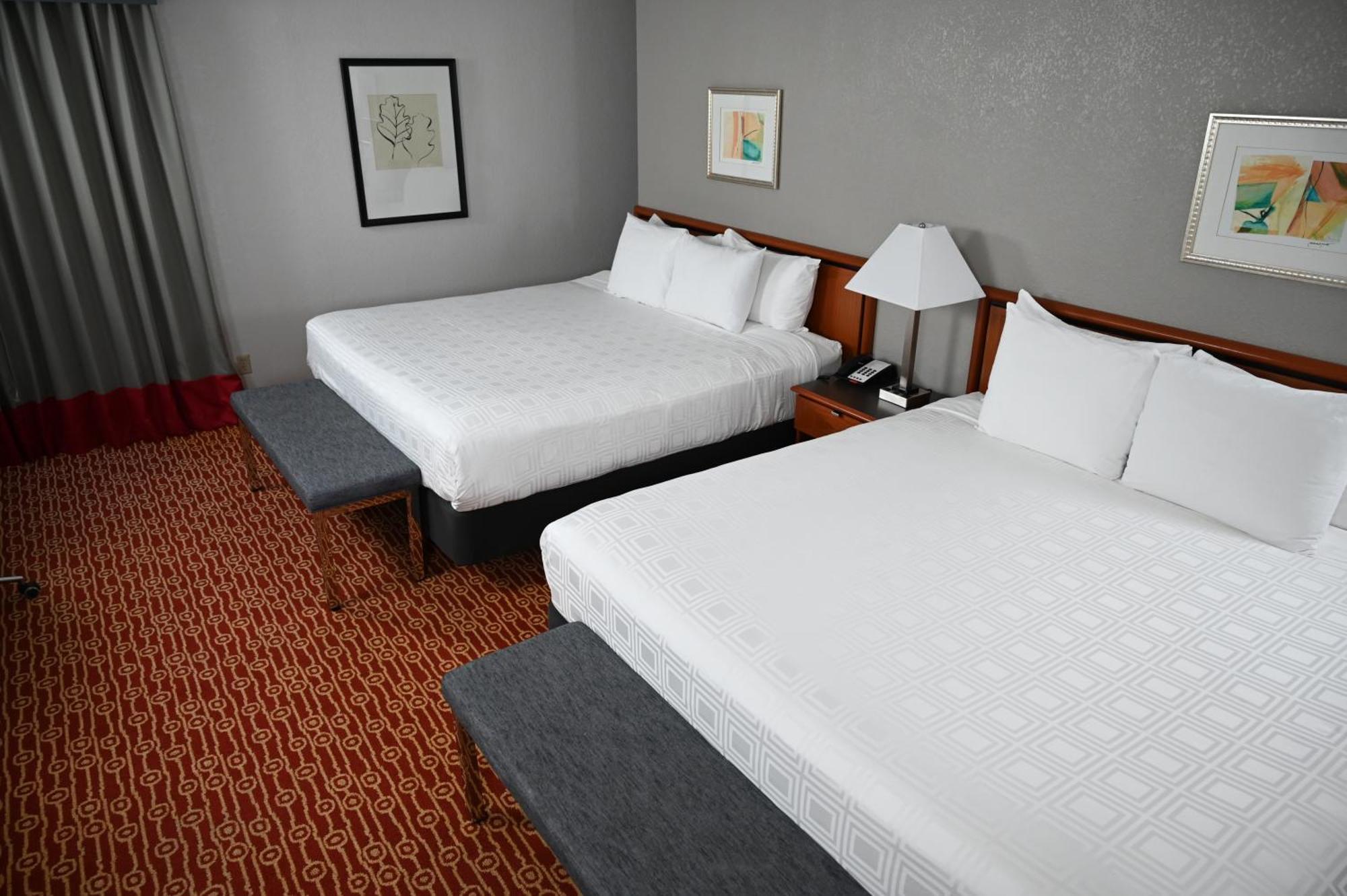 Atrium And Dfw Airport Hotel Irving